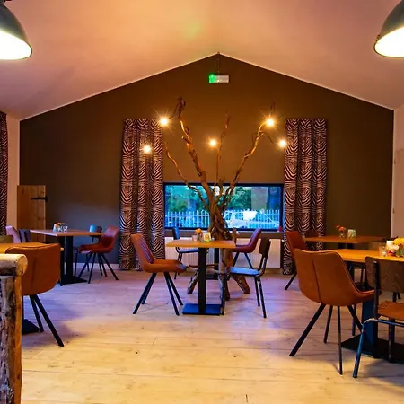 Panzió Brasserie/b&b De Pletsmolen *