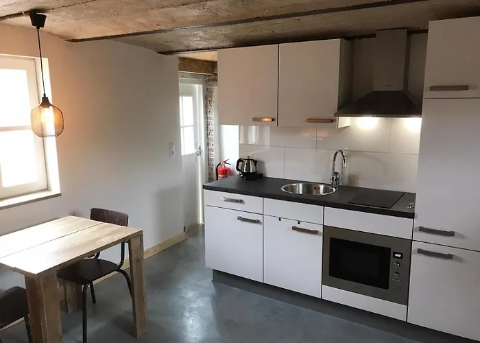 Brasserie/b&b De Pletsmolen Bed & Breakfast 3*