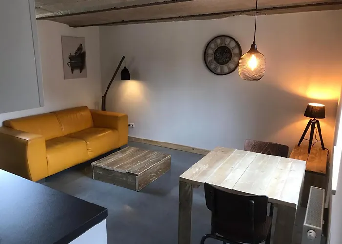 Brasserie/b&b De Pletsmolen 3*