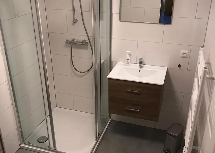 Brasserie/b&b De Pletsmolen 住宿加早餐酒店 3*