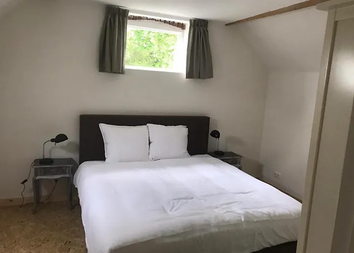 Brasserie/b&b De Pletsmolen 3*